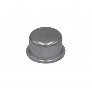 Wheel Bearing Dust Cap, Right Front, Outer Fit
