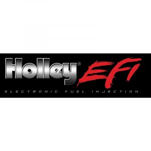 Dual Throttle Body EFI Components